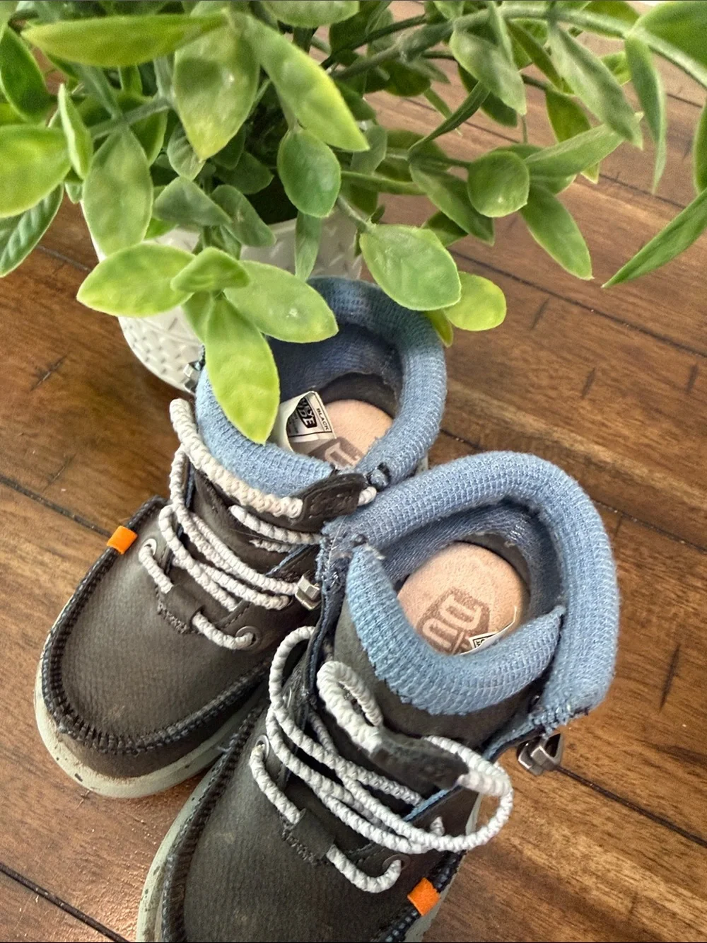 Hey Dude Kids Brown and Light Blue Lace-Up Ankle Boots
